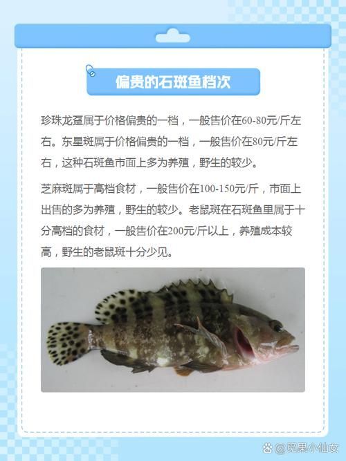 推薦一些觀賞魚市場價(jià)格查詢工具，觀賞魚價(jià)格查詢工具