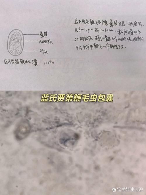 龍魚內寄生蟲有哪些常見種類，arxiv論文助手檢索是否有水產寄生蟲相關的最新研究