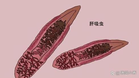 龍魚內寄生蟲有哪些常見種類，arxiv論文助手檢索是否有水產寄生蟲相關的最新研究