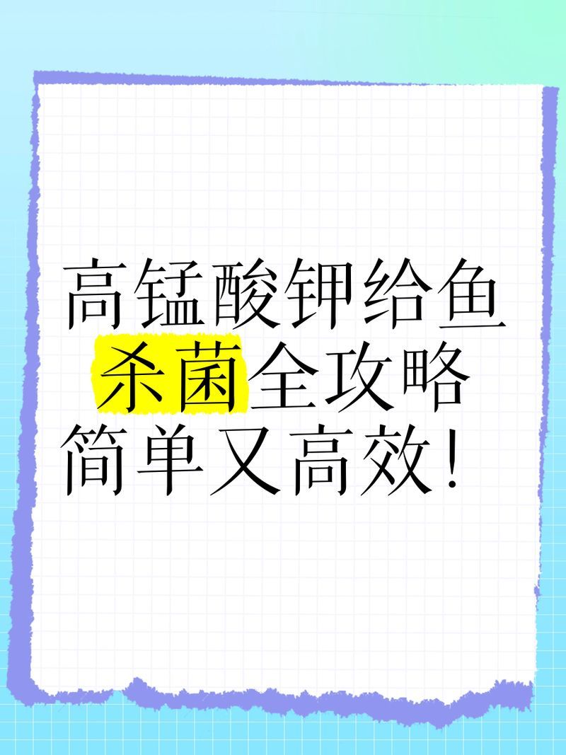 如何治療龍魚的細菌感染，如何治療龍魚的細菌感染龍魚細菌感染必須立即干預