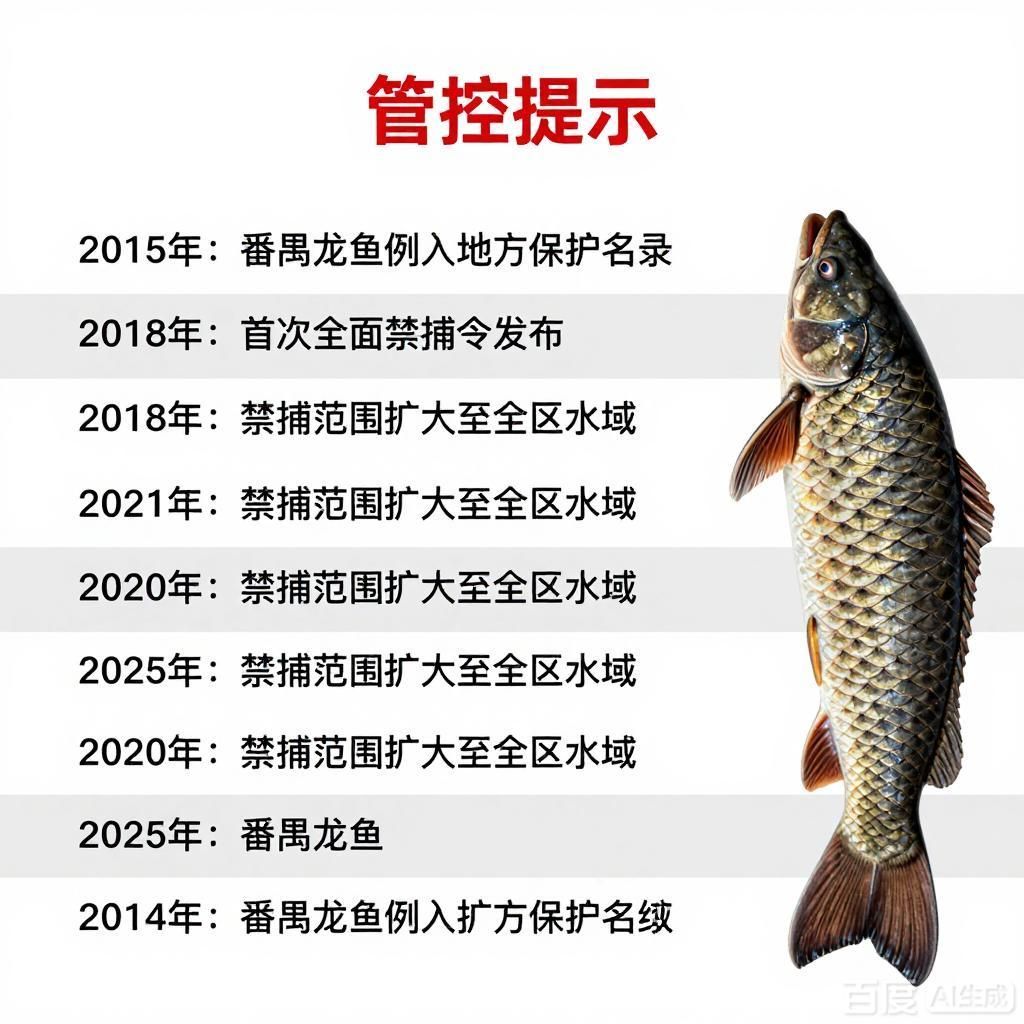 能否提供番禺龍魚被禁的詳細時間線，番禺龍魚被禁的詳細時間線