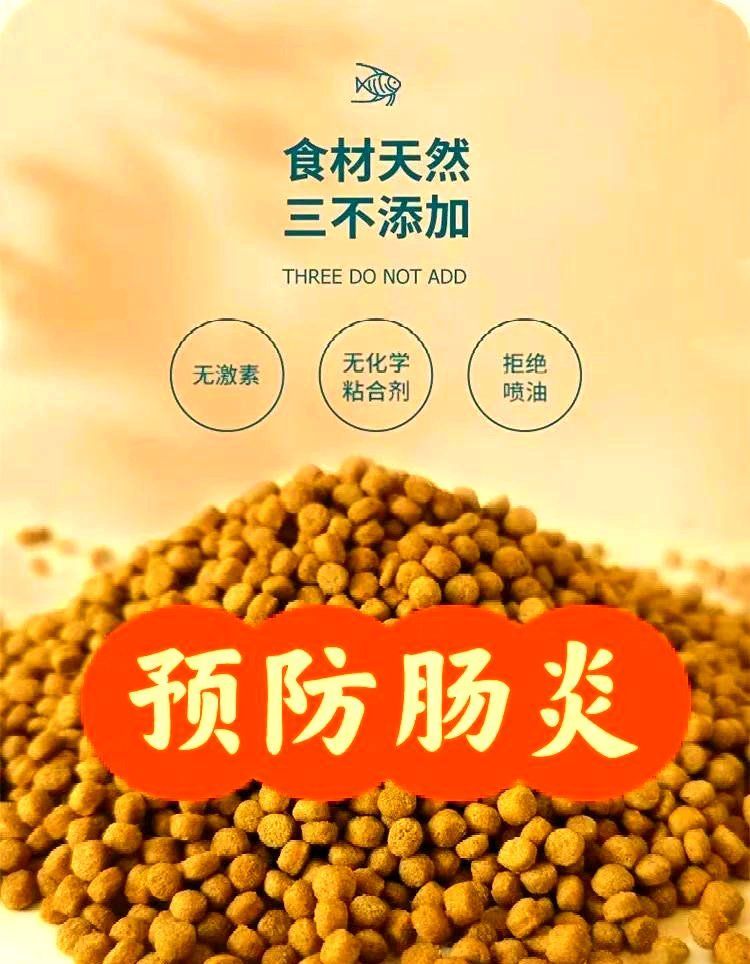 有哪些飼料可以預防魚類腸炎，預防魚類腸炎的飼料有哪些