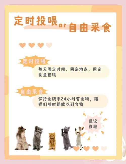 如何預(yù)防魚咬魚再次發(fā)生，arxiv論文助手arxiv論文助手（arxiv論文助手”