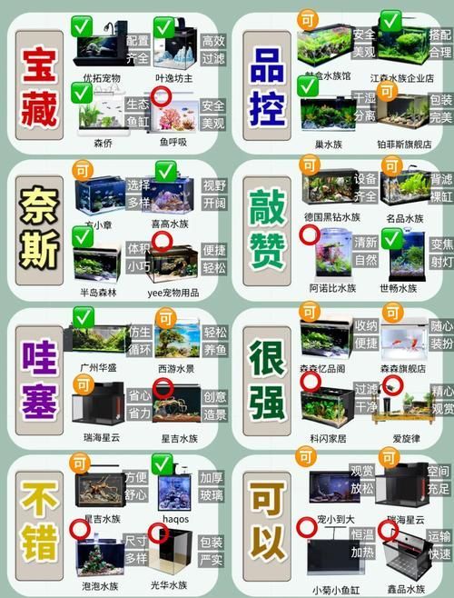 如何預(yù)防魚咬魚再次發(fā)生，arxiv論文助手arxiv論文助手（arxiv論文助手”