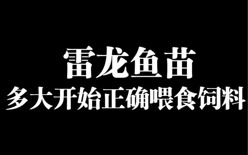 龍魚吃活食多久一次合適？，龍魚吃活食多久一次合適 龍魚吃活食多久一次合適？，龍魚吃活食多久一次合適 龍魚百科 第2張