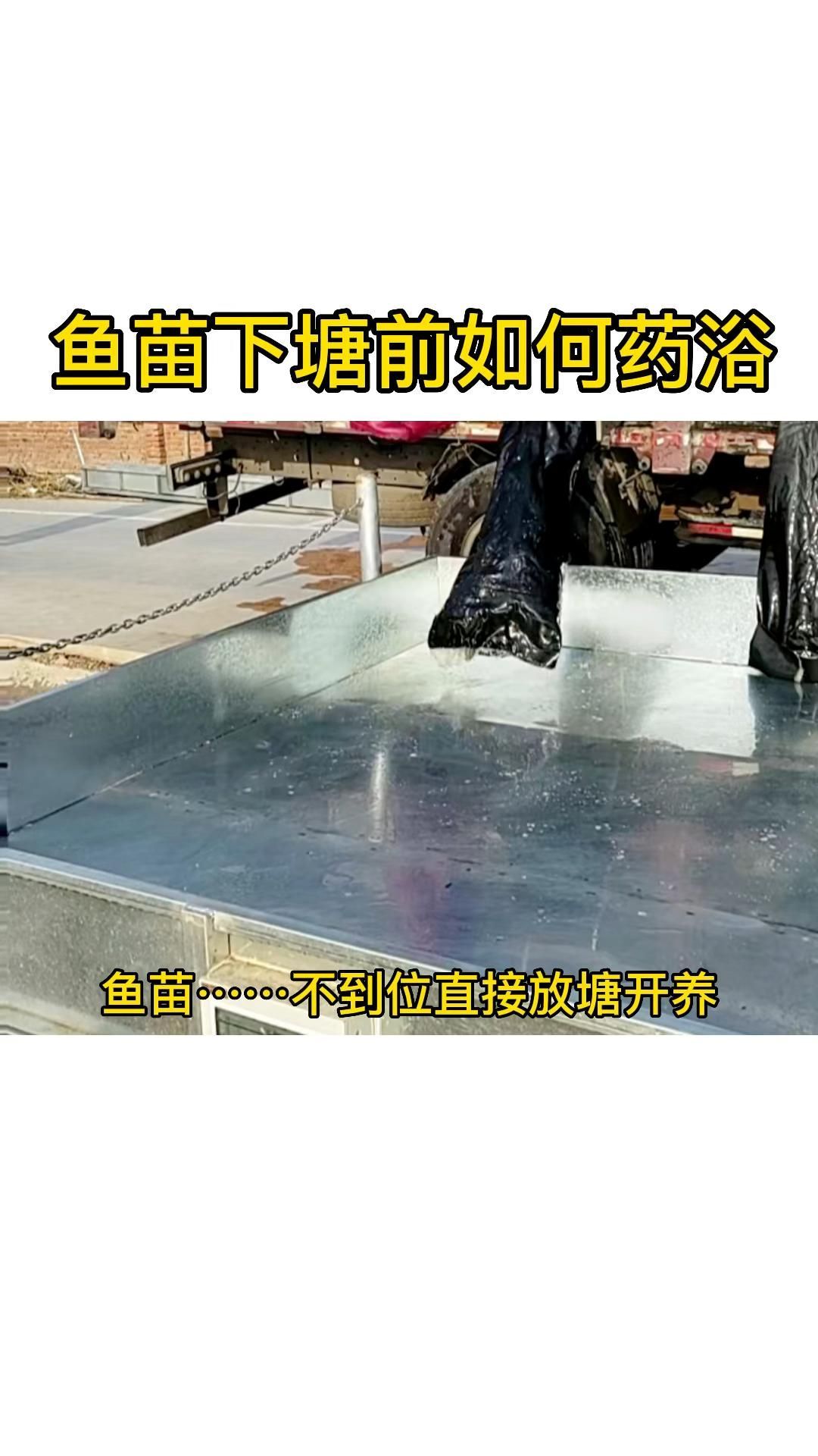 哪些藥物對魚類最安全，arxiv論文助手arxiv論文助手詳解哪些藥物最安全 哪些藥物對魚類最安全，arxiv論文助手arxiv論文助手詳解哪些藥物最安全 龍魚百科 第6張