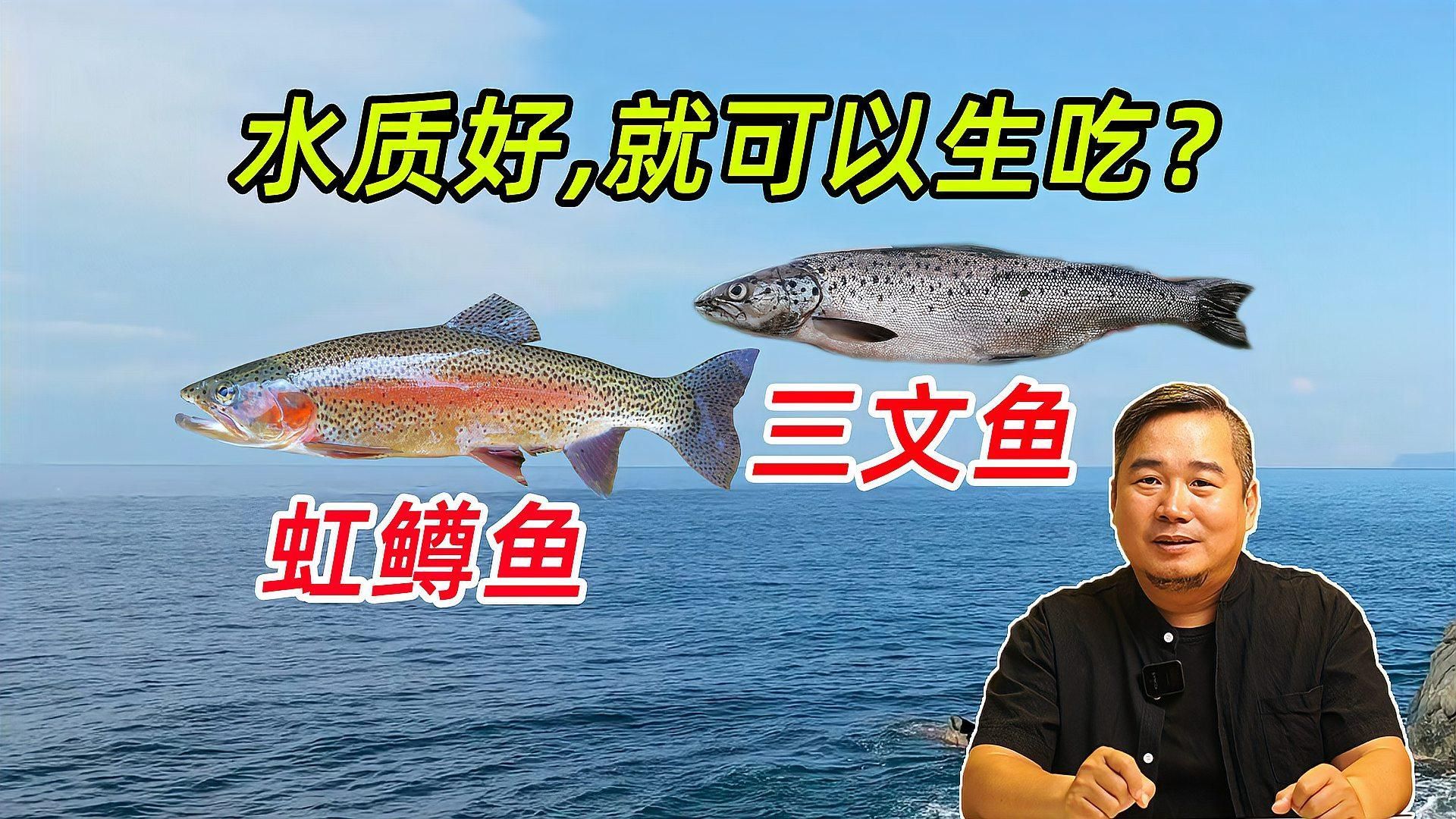 哪些魚類生食時風險最大，生食魚類有哪些風險？