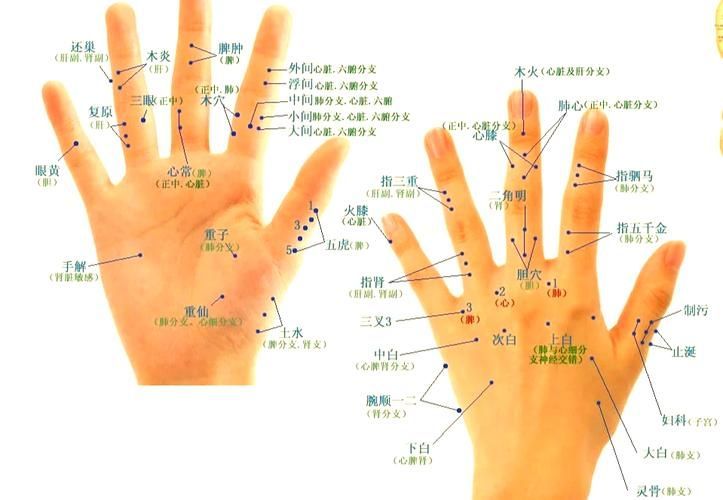 有哪些自然療法可以嘗試，自然療法是一些常見(jiàn)的自然療法是一些常見(jiàn)的自然療法