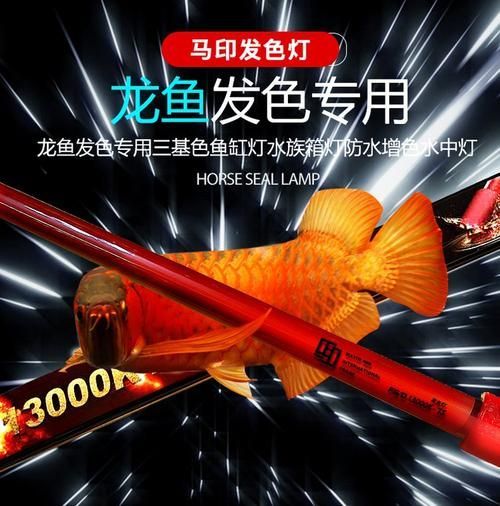 馬印13000K燈有哪些型號可選，馬印13000k燈怎么樣