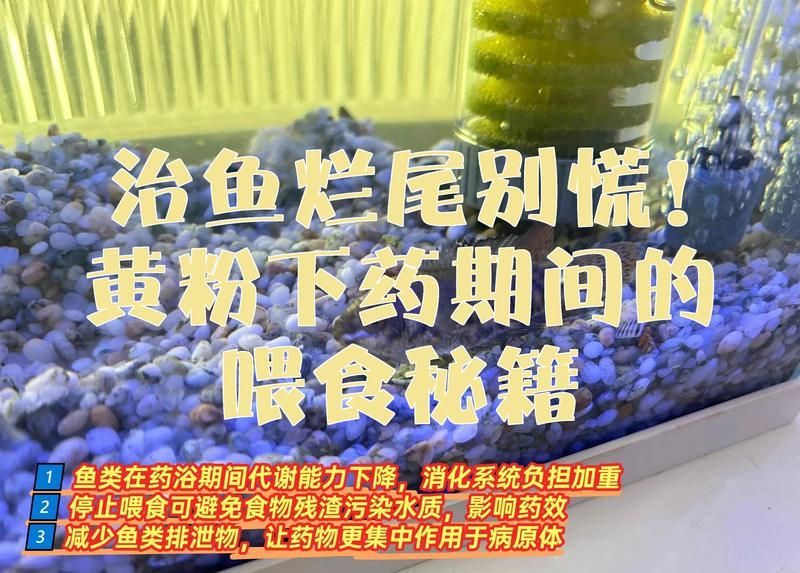黃粉使用期間需要停食嗎，黃粉使用期間需要停食嗎？