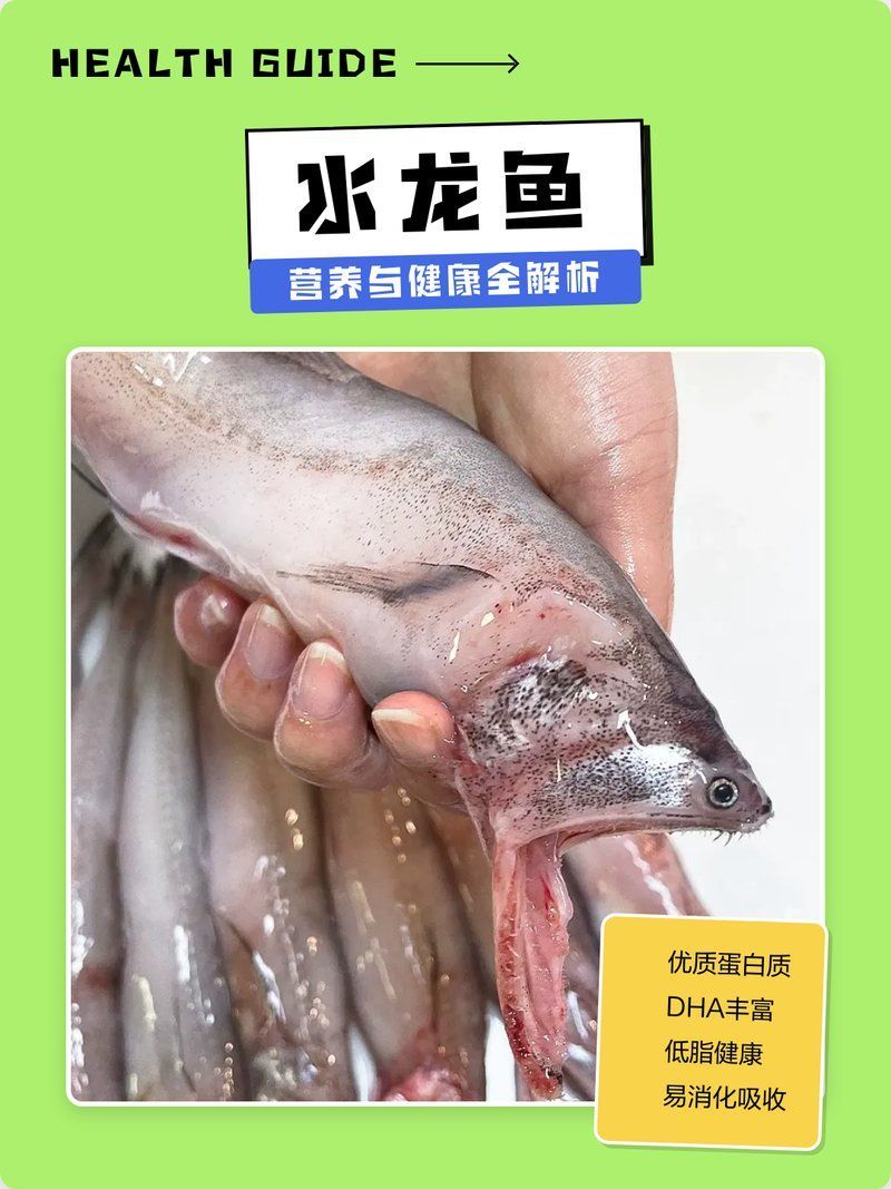 龍華龍魚和龍魚哪個更有營養？，“龍華龍魚”與“龍華龍魚哪個更有營養，營養價值與健康意義