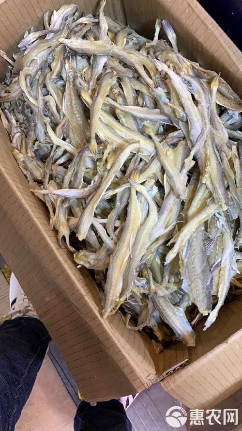 石阡龍魚有哪些主打產品?,石阡龍魚主打產品與石阡龍魚有哪些主打產品的主打產品 龍魚百科 第6張 石阡龍魚有哪些主打產品?,石阡龍魚主打產品與石阡龍魚有哪些主打產品的主打產品 石阡龍魚有哪些主打產品?,石阡龍魚主打產品與石阡龍魚有哪些主打產品的主打產品 龍魚百科 第6張