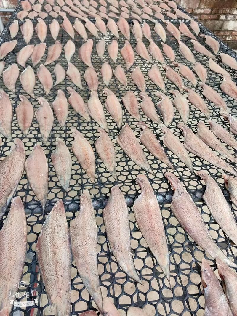 石阡龍魚有哪些主打產品?,石阡龍魚主打產品與石阡龍魚有哪些主打產品的主打產品 龍魚百科 第5張 石阡龍魚有哪些主打產品?,石阡龍魚主打產品與石阡龍魚有哪些主打產品的主打產品 石阡龍魚有哪些主打產品?,石阡龍魚主打產品與石阡龍魚有哪些主打產品的主打產品 龍魚百科 第5張