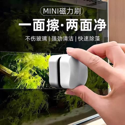 有哪些魚缸清潔維護技巧，魚缸清潔技巧