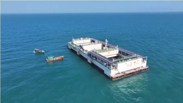 樂東黎族龍魚養殖有哪些挑戰，樂東黎族觀賞魚養殖的挑戰