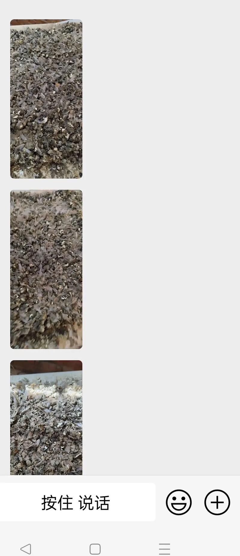 如何判斷紅尾平克魚的健康狀況