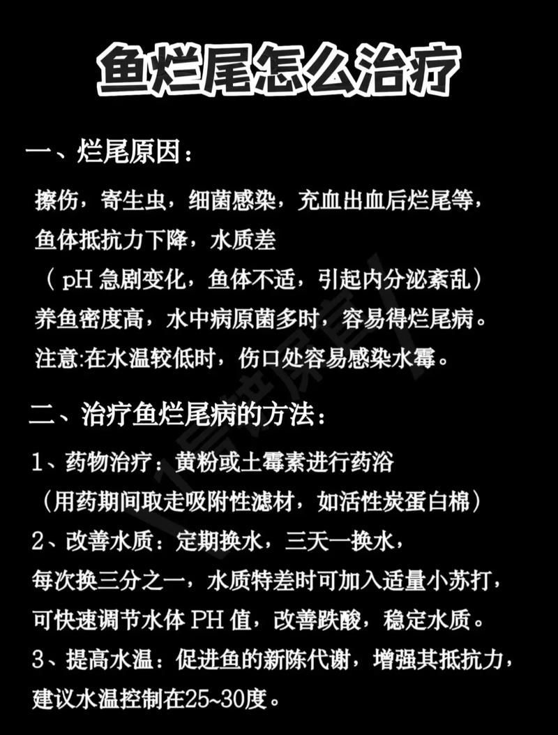 如何預防魚爛尾病，富媒體組件查詢魚爛尾病預防措施（1000字+配圖）