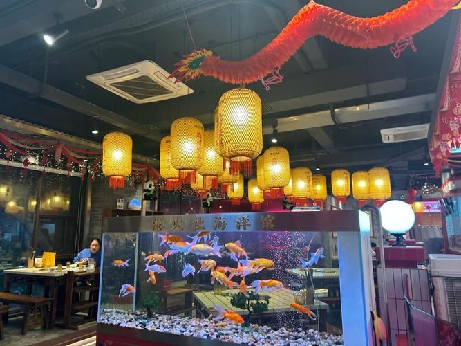 如何聯系鳳陽龍魚市場的供應商？，鳳陽龍魚市場供應商聯系鳳陽龍魚市場供應商聯系方式