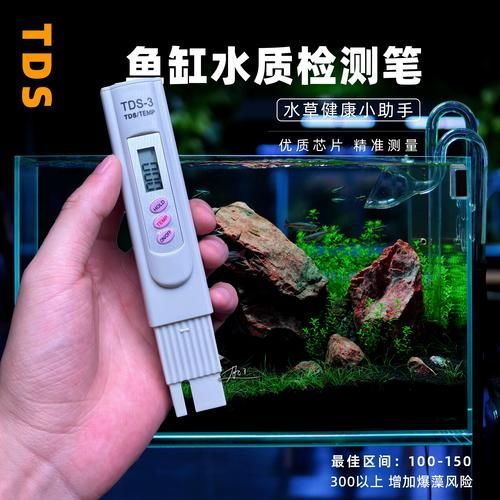 如何預防魚爛尾巴，如何預防觀賞魚爛尾巴 如何預防魚爛尾巴，如何預防觀賞魚爛尾巴 龍魚百科 第5張