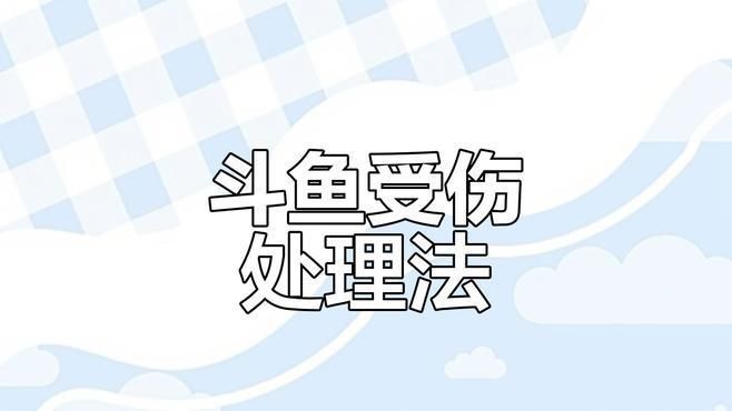 魚外傷有哪些常見治療方法，觀賞魚外傷的治療方法