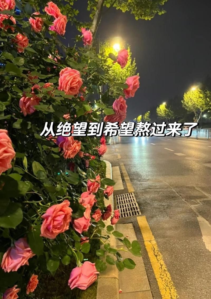 中醫(yī)治療腹水有哪些成功案例，中醫(yī)治療肝硬化腹水