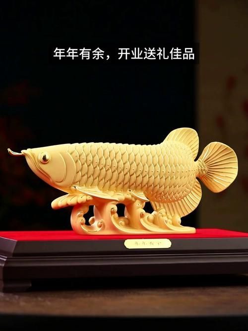 招財龍魚圖片格式有哪些，招財龍魚圖片格式分類及其特點及其特點及其特點