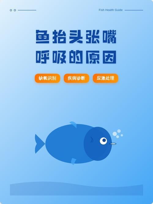 能否提供一張影響魚類呼吸的示意圖，影響魚類呼吸的因素