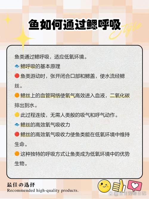 能否提供一張影響魚類呼吸的示意圖，影響魚類呼吸的因素