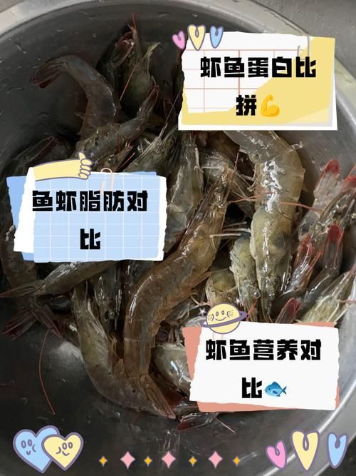 有哪些餌料可以搭配蝦肉喂龍魚？，有哪些餌料可以搭配蝦肉喂龍魚,蝦肉喂龍魚的優(yōu)質(zhì)餌料
