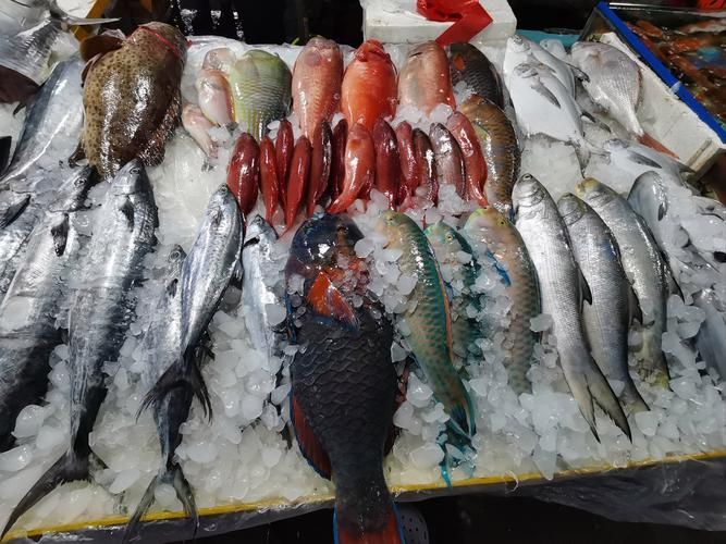 海珠龍魚的市場走勢如何，廣州海珠水產市場龍魚交易