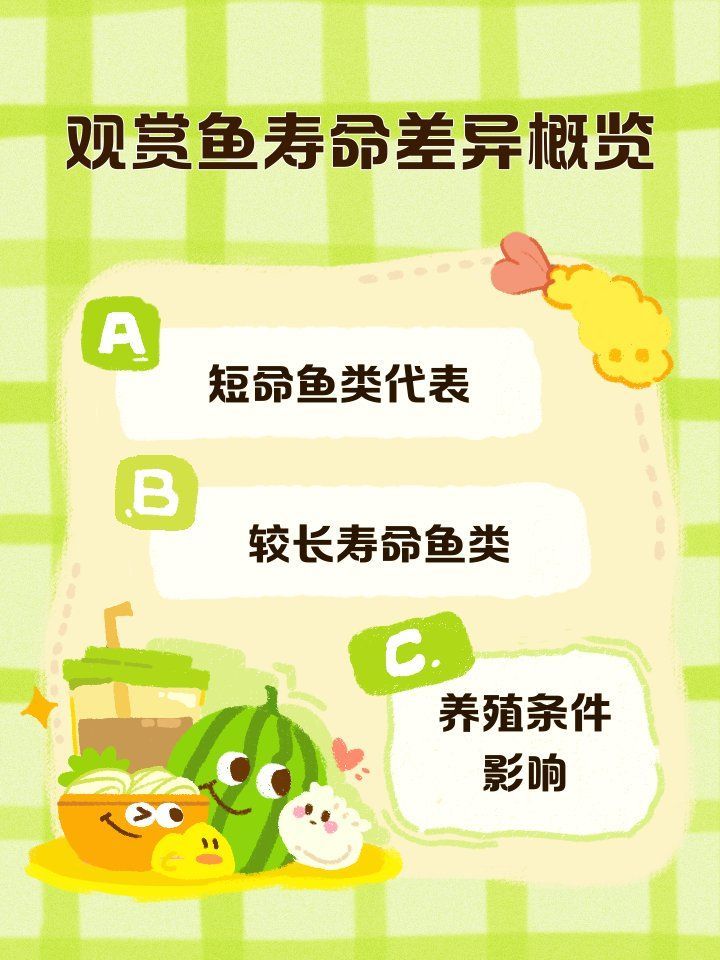 銀龍魚一般能活幾年，銀龍魚的壽命及影響因素全解析劇澤幕銀龍魚壽命影響因素全解析