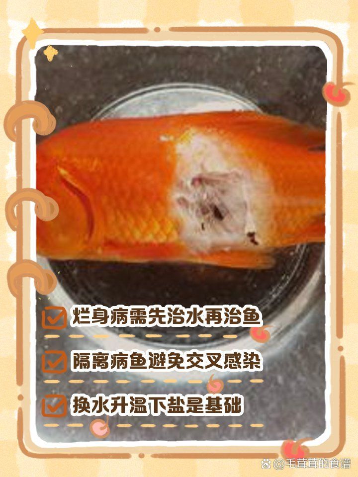 如何治療龍魚爛身，六角恐龍魚身上腐爛怎么治療龍魚爛身治療方法