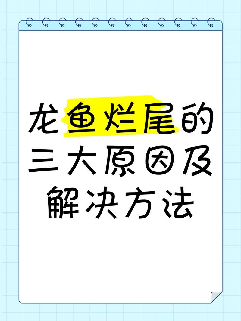 如何預防金龍魚爛尾感染細菌，如何預防龍魚爛尾感染細菌