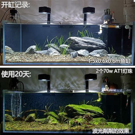 龍魚燈調整后多久能看到效果？，龍魚燈調整后多久能看到效果龍魚燈調整后多久能看到效果
