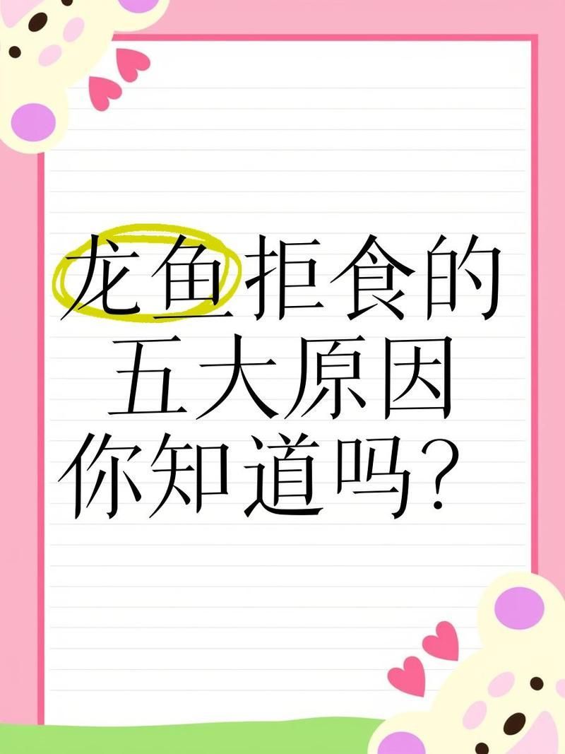 龍魚拒食時應該如何判斷是否健康？，龍魚拒食可能是由多種原因引起的，如何判斷龍魚是否健康