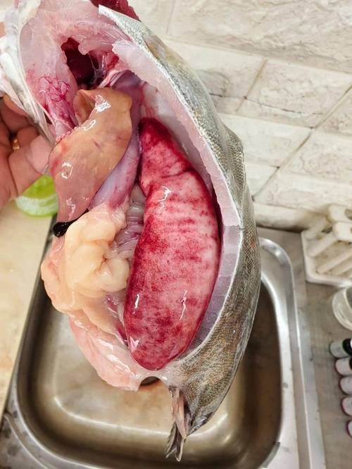 腹水魚最怕三個東西