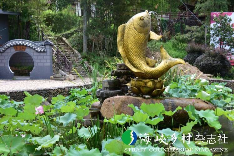 泰寧龍魚有哪些著名景點？，泰寧鯉魚與龍文化主題的3日游攻略 泰寧龍魚有哪些著名景點？，泰寧鯉魚與龍文化主題的3日游攻略 龍魚百科 第1張