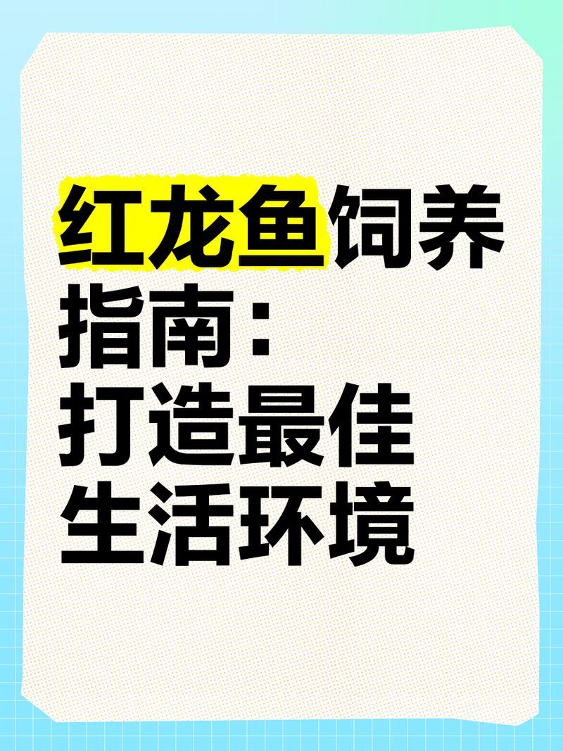 20公分紅龍魚的飼養(yǎng)難度如何，20公分紅龍魚飼養(yǎng)技巧