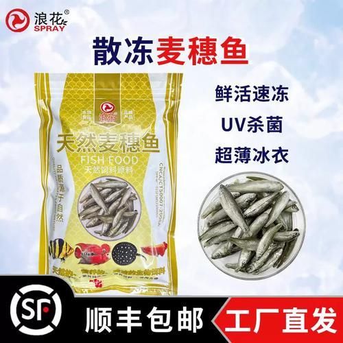 有哪些替代活泥鰍的龍魚餌料？