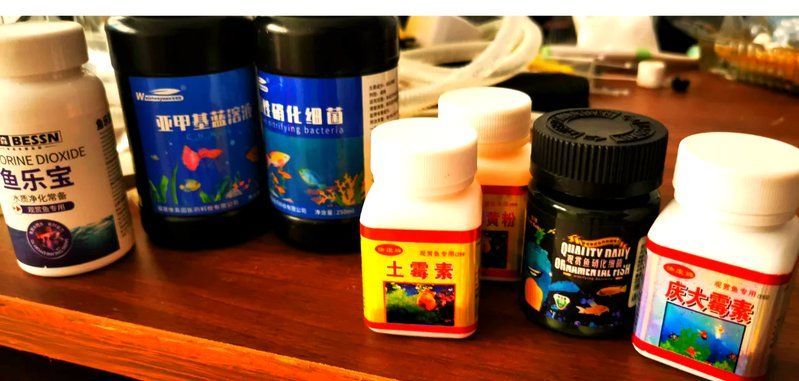 哪種藥物對龍魚爛鰭爛尾最有效，龍魚爛鰭爛尾原因及治療方法詳解松露巧克力電豹員