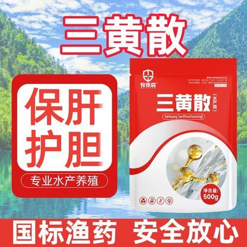 如何預防魚爛身爛尾的復發，如何預防魚爛身爛尾復發 如何預防魚爛身爛尾的復發，如何預防魚爛身爛尾復發 龍魚百科 第4張