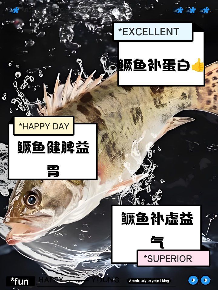 鱖魚有哪些營養價值，鱖魚的營養價值 鱖魚有哪些營養價值，鱖魚的營養價值 龍魚百科 第1張
