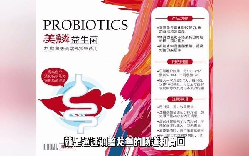 龍魚換季不愛吃食，如何刺激食欲，如何調(diào)整龍魚的胃口和狀態(tài) 龍魚換季不愛吃食，如何刺激食欲，如何調(diào)整龍魚的胃口和狀態(tài) 龍魚百科 第2張