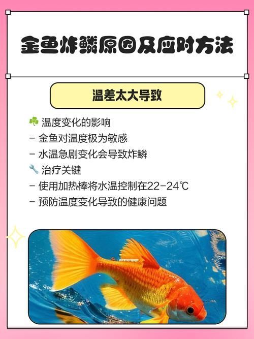 如何預防金魚炸鱗病復發，如何預防金魚炸鱗病