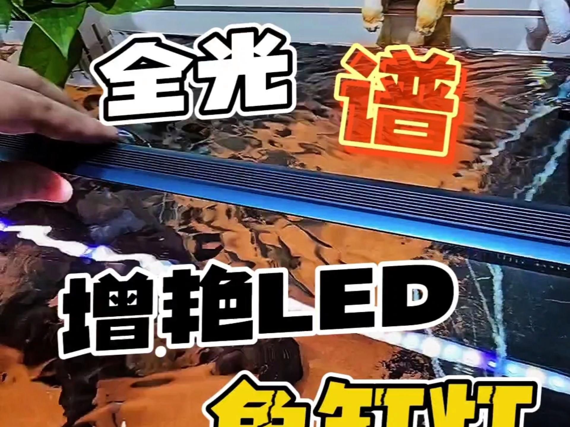 有沒(méi)有延長(zhǎng)龍魚(yú)增色燈壽命的方法？，延長(zhǎng)龍魚(yú)增色燈壽命的方法 有沒(méi)有延長(zhǎng)龍魚(yú)增色燈壽命的方法？，延長(zhǎng)龍魚(yú)增色燈壽命的方法 龍魚(yú)百科 第2張