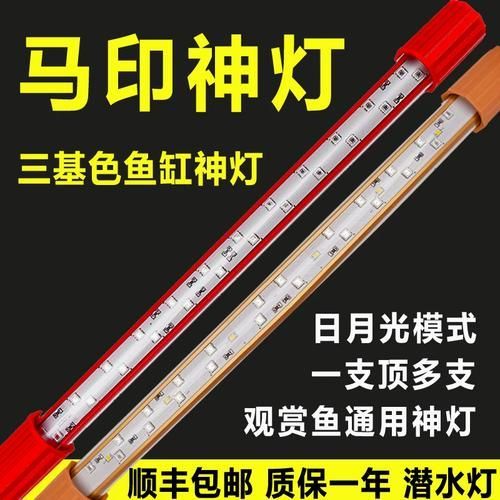 有哪些品牌金龍魚燈光推薦，金龍魚燈光品牌推薦 有哪些品牌金龍魚燈光推薦，金龍魚燈光品牌推薦 龍魚百科 第9張