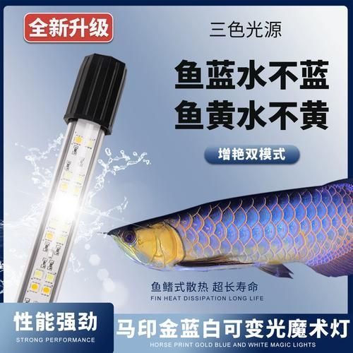 有哪些品牌金龍魚燈光推薦，金龍魚燈光品牌推薦 有哪些品牌金龍魚燈光推薦，金龍魚燈光品牌推薦 龍魚百科 第7張