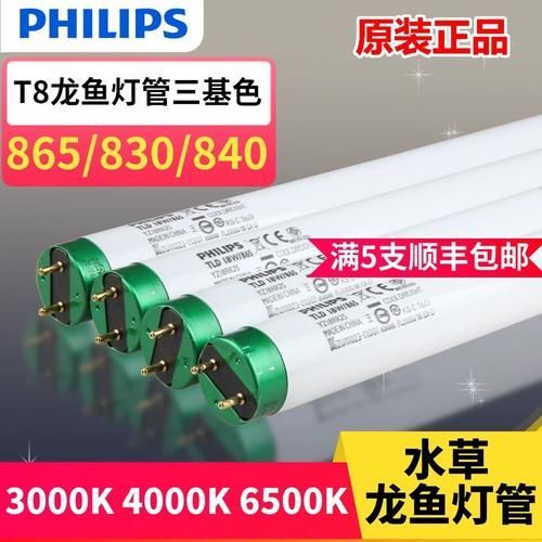有哪些品牌金龍魚燈光推薦，金龍魚燈光品牌推薦 有哪些品牌金龍魚燈光推薦，金龍魚燈光品牌推薦 龍魚百科 第18張