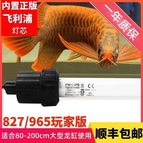 有哪些品牌金龍魚燈光推薦，金龍魚燈光品牌推薦 有哪些品牌金龍魚燈光推薦，金龍魚燈光品牌推薦 龍魚百科 第13張
