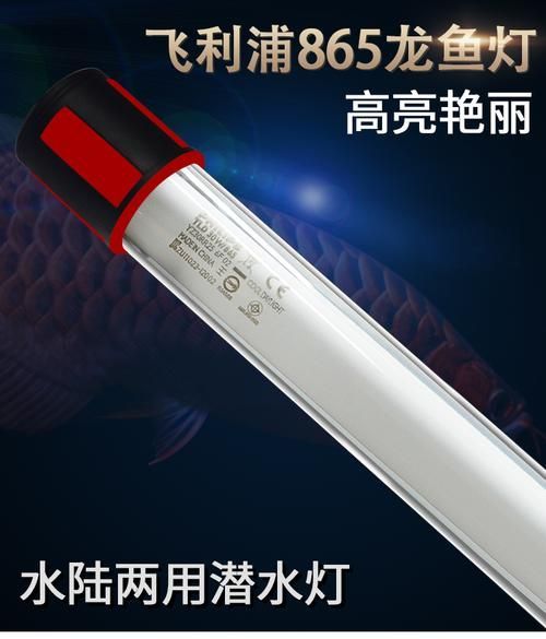 有哪些品牌金龍魚燈光推薦，金龍魚燈光品牌推薦 有哪些品牌金龍魚燈光推薦，金龍魚燈光品牌推薦 龍魚百科 第17張